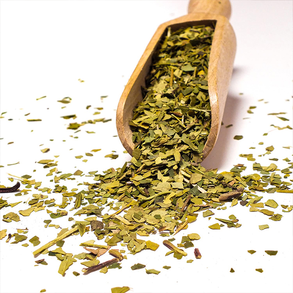 Vad är yerba mate green och vilka är skillnaderna mellan den traditionella sorten?