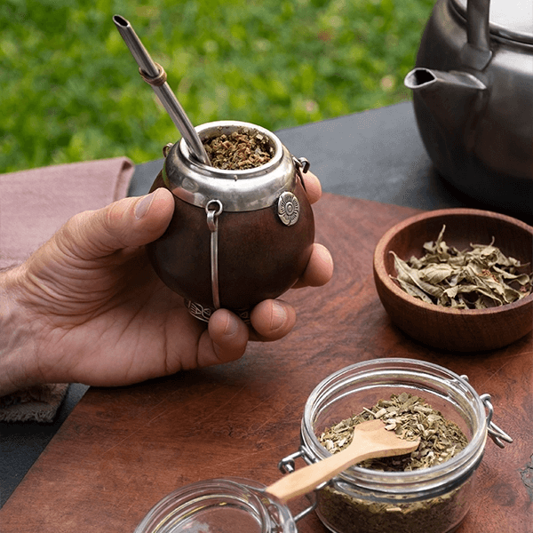 Yerba mate - hur ofta kan vi dricka det? Finns det några kontraindikationer?