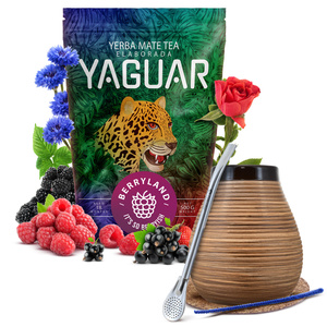 Yerba Mate Yaguar Kokosnöt Startset 500g