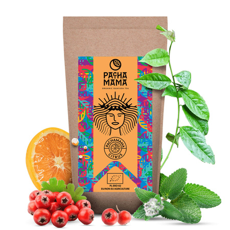 ILEX GUAYUSA Pachamama set med flera smaker